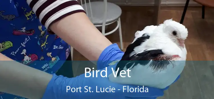 Bird Vet Port St. Lucie - Florida