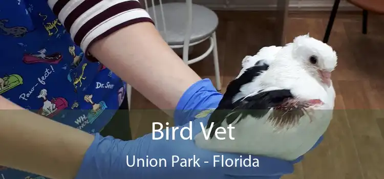 Bird Vet Union Park - Florida