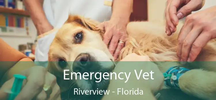 Emergency Vet Riverview - Florida