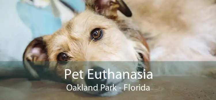 Mental Stimulation For Dogs, Veterinarian in Oakland Park, FL, Oakland  Park Animal Hospital Oakland Park Animal Hospital