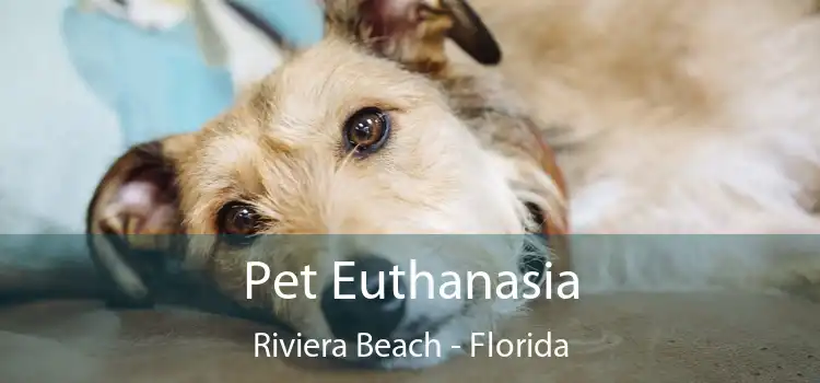 Pet Euthanasia Riviera Beach - Florida