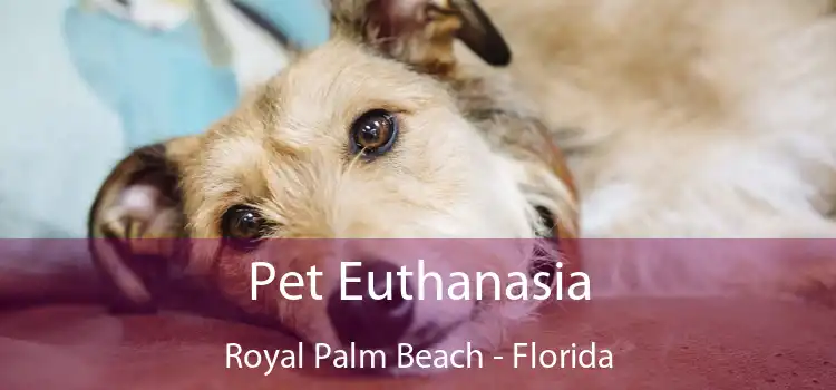 Pet Euthanasia Royal Palm Beach - Florida