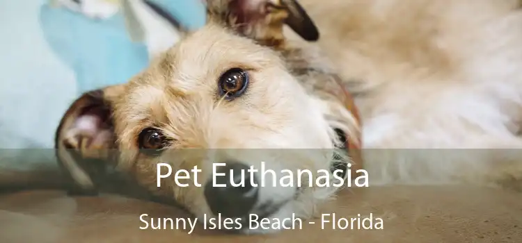 Pet Euthanasia Sunny Isles Beach - Florida