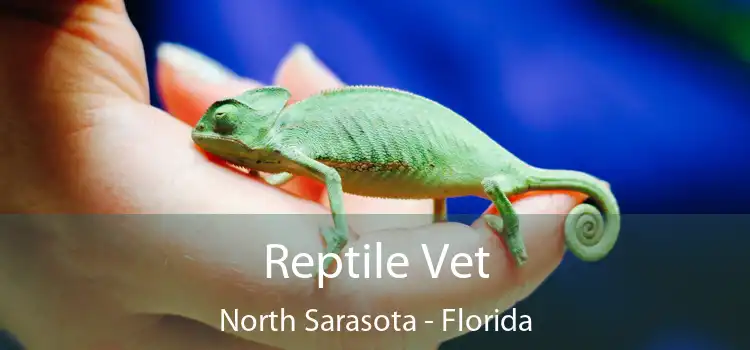 Reptile Vet North Sarasota - Florida